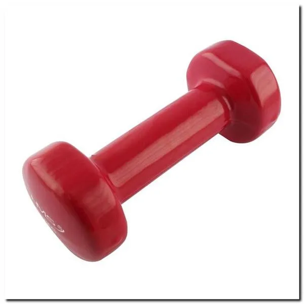 Gantera fitness 2 kg HMS 17023