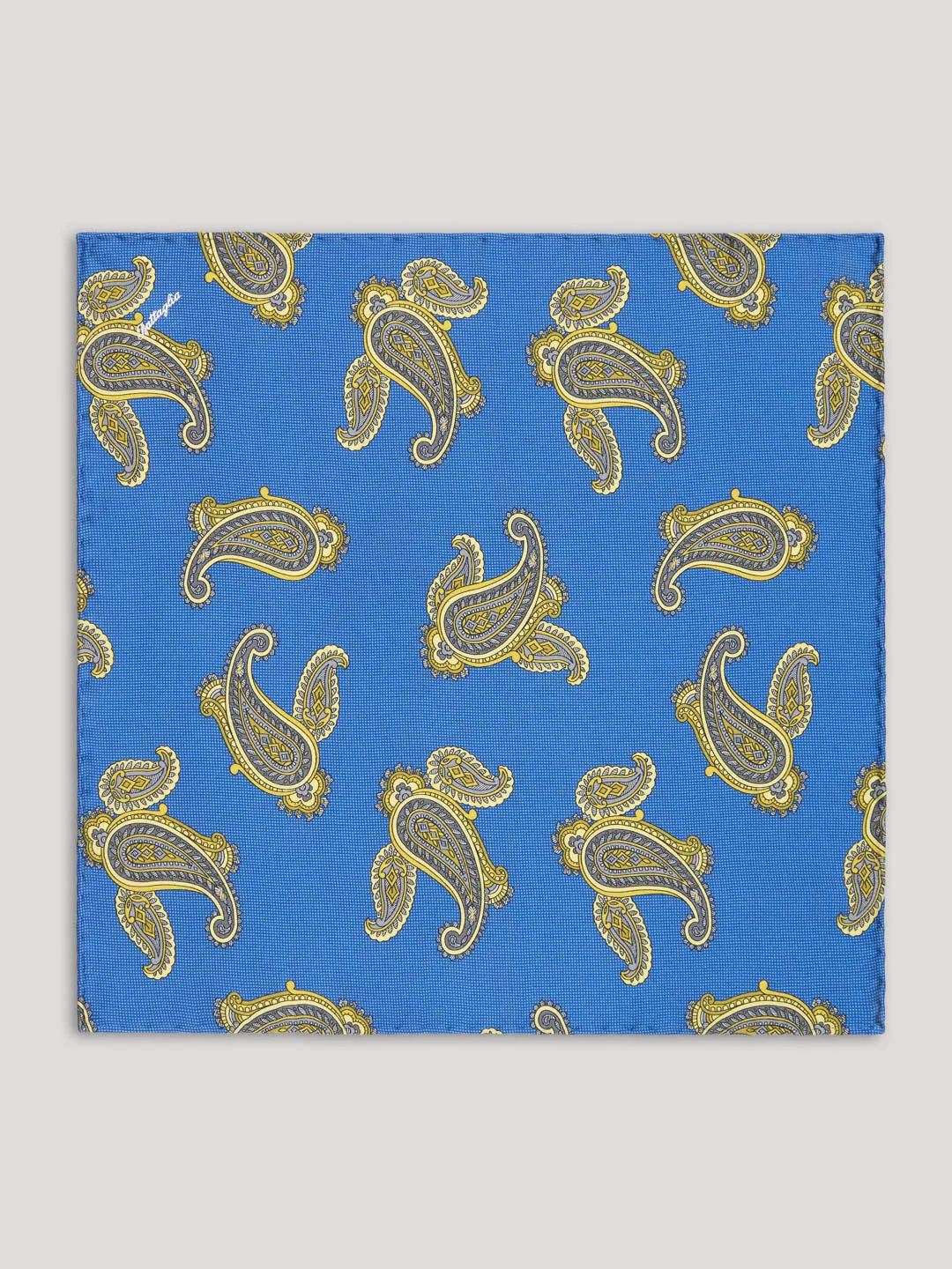 Luxury Silk Tie Set